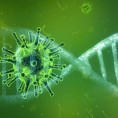 Профилактика гриппа, короновирусной инфекции и других респираторных вирусных инфекций (ОРВИ)